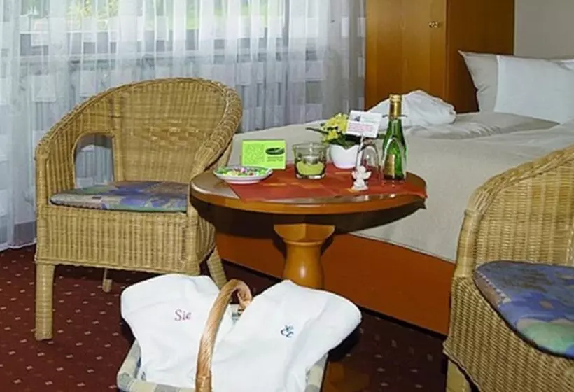 Economy-huone, Ferienhotel Schwarzwälder Hof