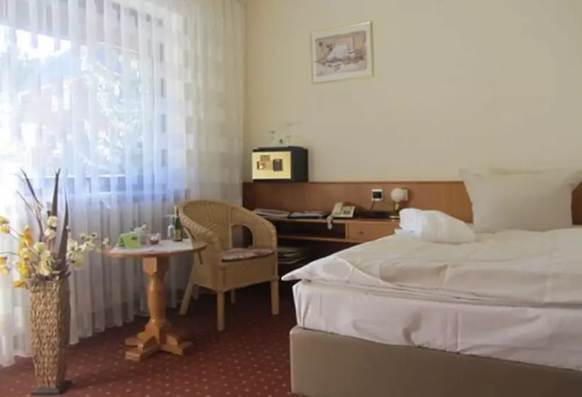 Standard Yhden Hengen Huone, Ferienhotel Schwarzwälder Hof