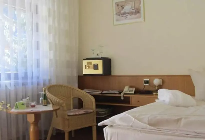 Standard Yhden Hengen Huone, Ferienhotel Schwarzwälder Hof