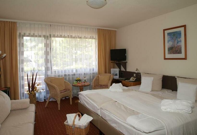 Номер Deluxe с Балконом, Ferienhotel Schwarzwälder Hof