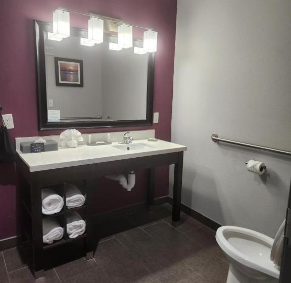 חדר סטנדרט עם מיטת קינג, La Quinta By Wyndham Dallas Grand Prairie North