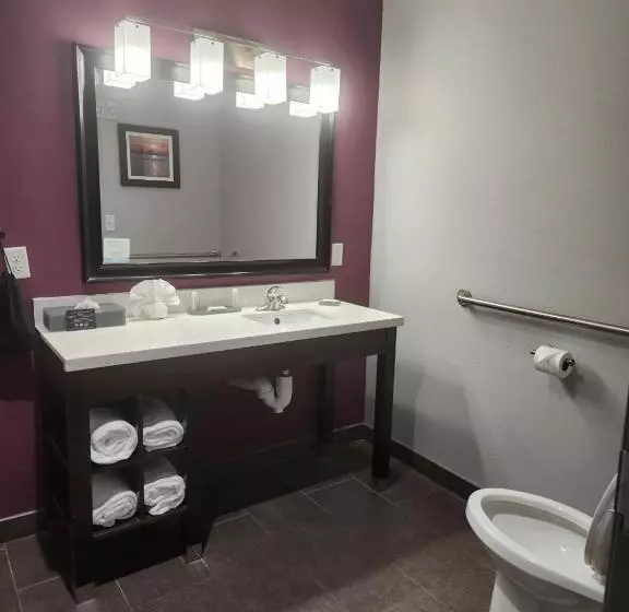 キングサイズベッドのスタンダードルーム, La Quinta By Wyndham Dallas Grand Prairie North