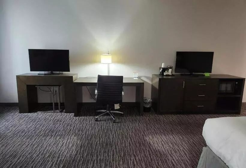 キングサイドベッドのスタンダードワンルーム, La Quinta By Wyndham Dallas Grand Prairie North