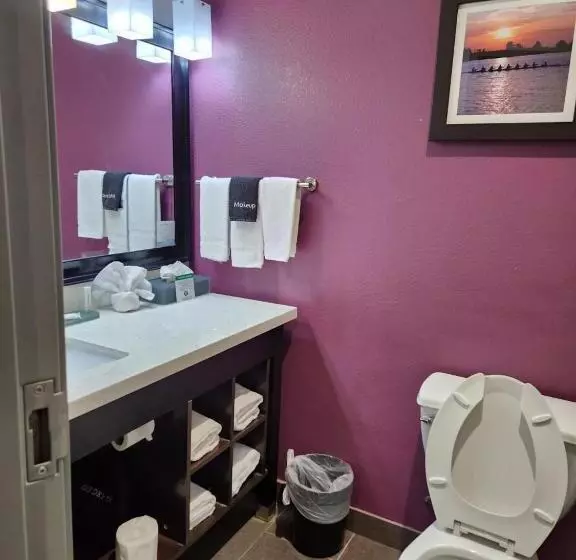キングサイドベッドのスタンダードワンルーム, La Quinta By Wyndham Dallas Grand Prairie North