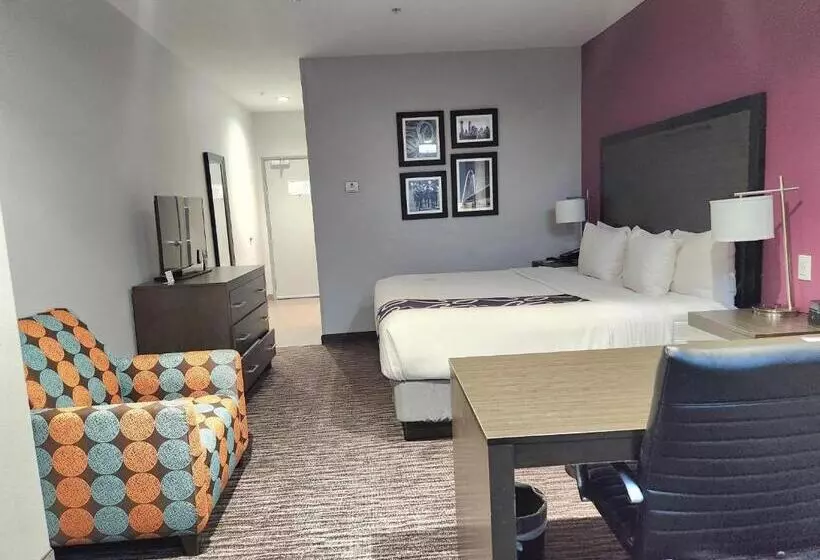 キングサイドベッドのスタンダードワンルーム, La Quinta By Wyndham Dallas Grand Prairie North