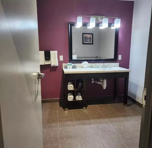 身障者適用キングサイズベッドルーム, La Quinta By Wyndham Dallas Grand Prairie North