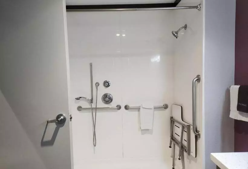 身障者適用キングサイズベッドルーム, La Quinta By Wyndham Dallas Grand Prairie North
