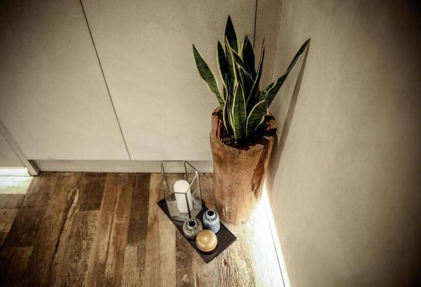 اتاق لوکس, Benci House