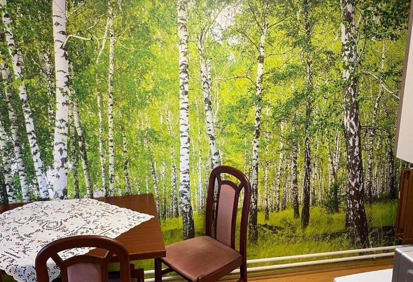 带2个卧室的公寓, Schröder S Motel