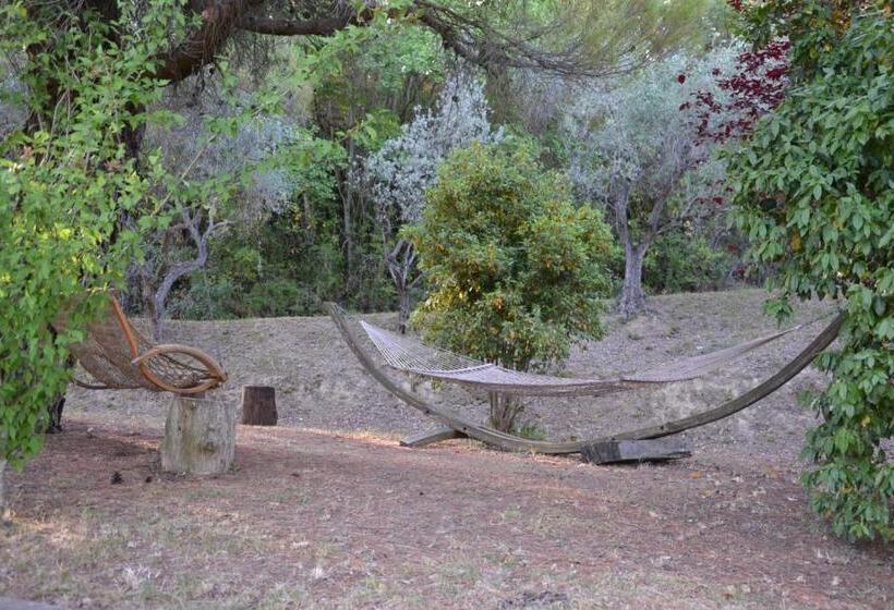 带1个卧室的高级公寓, Villa La Passione B&b