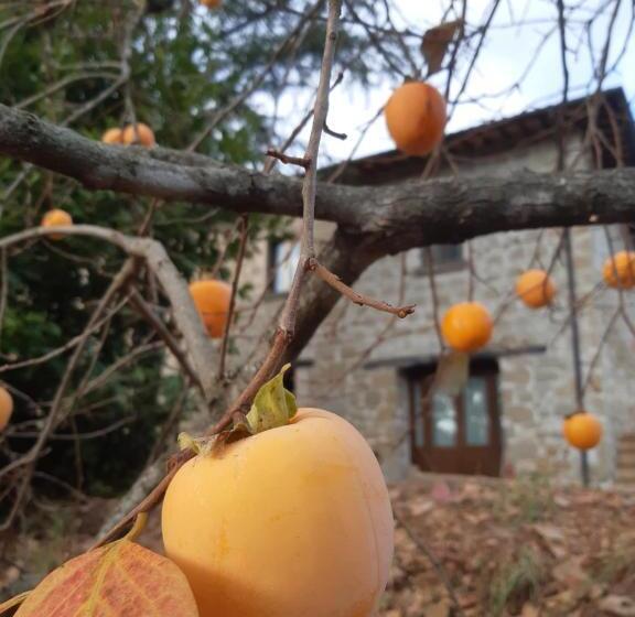 带1个卧室的高级公寓, Villa La Passione B&b