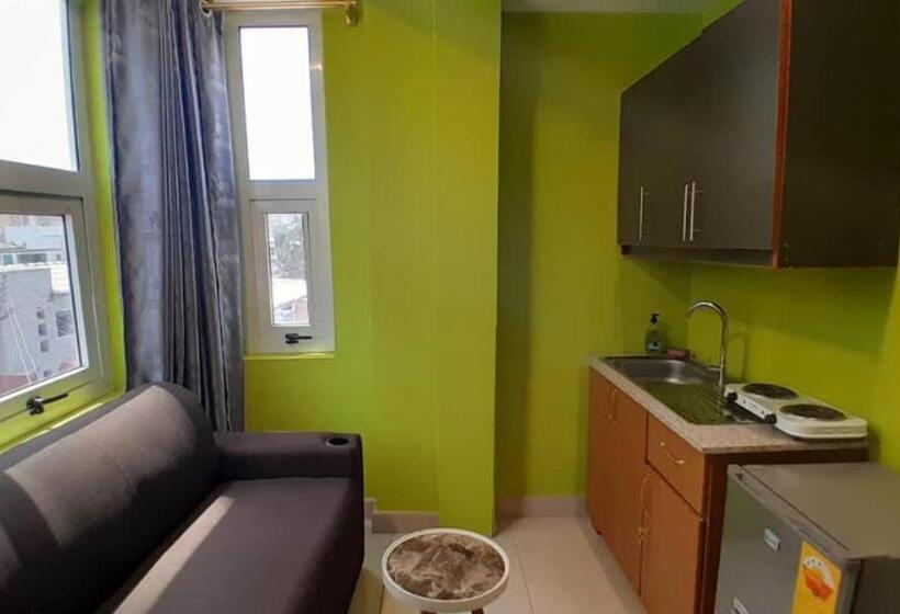 דירת חדר שינה  1 עם נוף לעיר, Ark Hotel Apartments