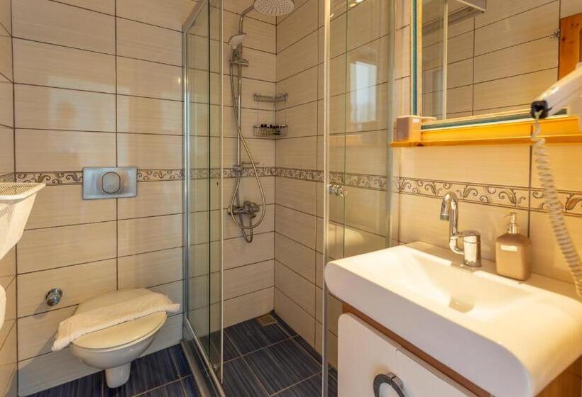 اتاق استاندارد سه نفره, Nest Gunay Otel