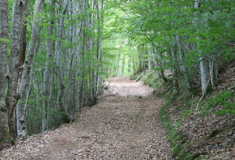 标准三人间, Les Chambres D Hôtes Le Triskèle