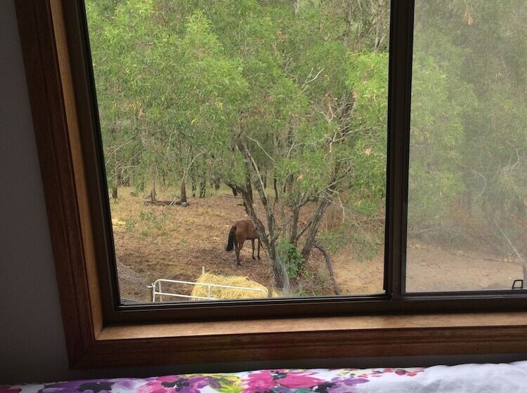 带共用浴室的标准房间, Pearl Of Contentment Retreat