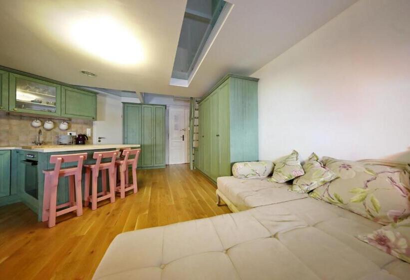 带1个卧室的豪华公寓, Central Apartments Integrated