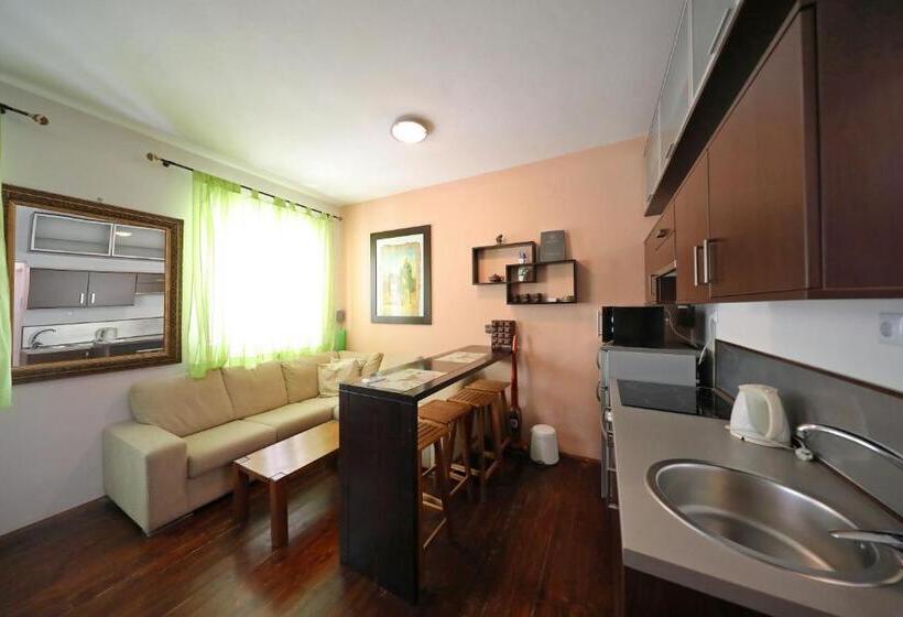 带1个卧室的公寓, Central Apartments Integrated