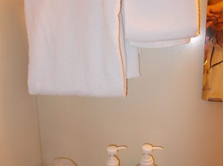 스탠다드 룸, Green Arbor