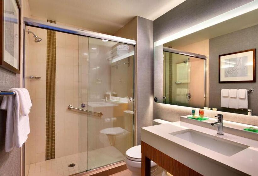 Quarto Standard Andar Superior, Hyatt Place Emeryville/san Francisco Bay Area