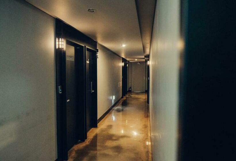 Camera Deluxe, Noel Business