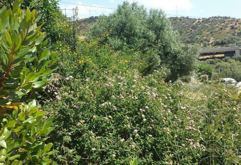 اتاق استاندارد, Bandi House