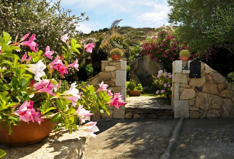 اتاق استاندارد, Bandi House