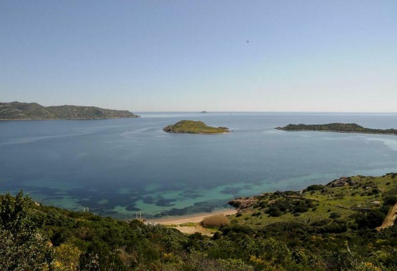 اتاق استاندارد, Bandi House