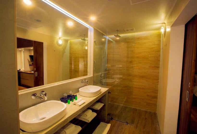 Номер Deluxe Кровать Кинг, Sevana City