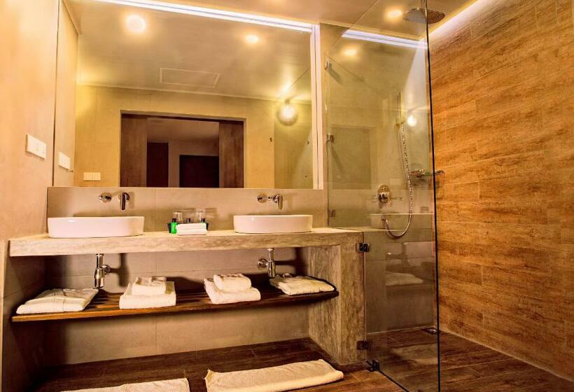 חדר דחוקס עם מיטת קינג, Sevana City