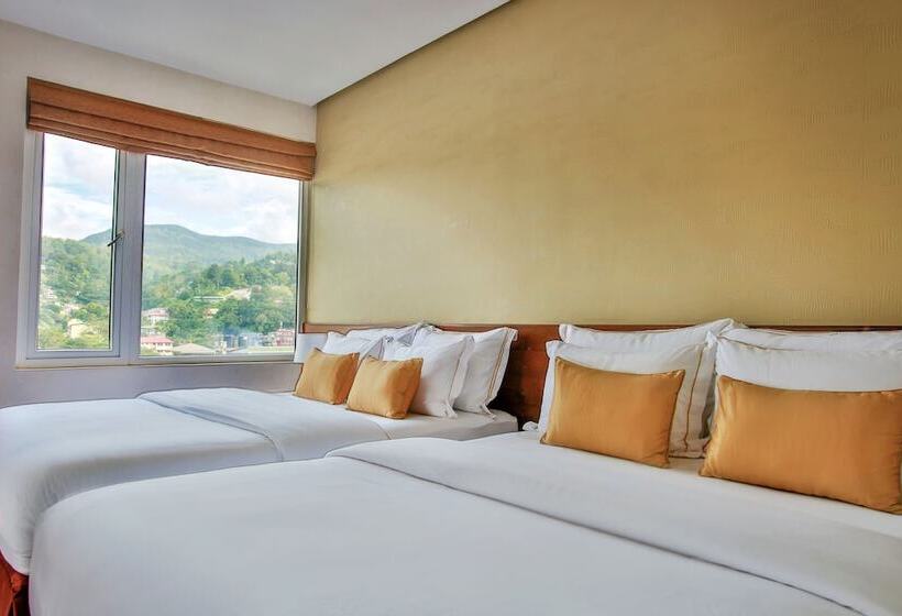 Номер Deluxe Вид на Город, Sevana City