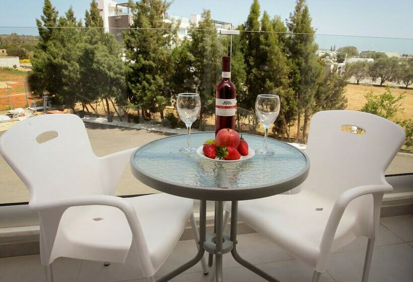 إستوديو ديلوكس, Bellini