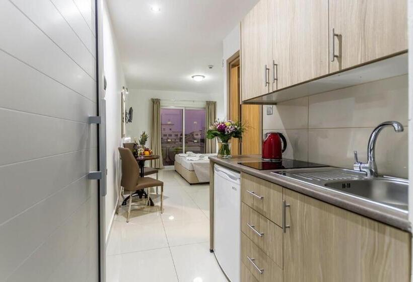 إستوديو ديلوكس, Bellini