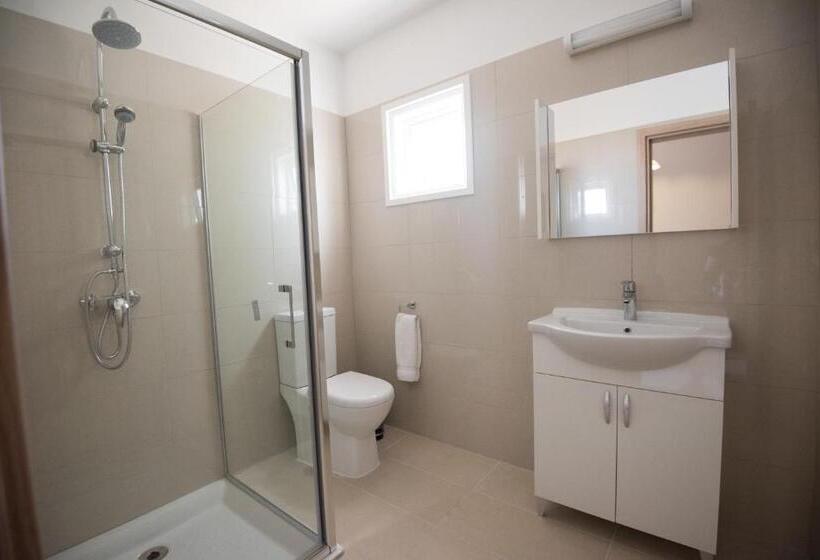 إستوديو ديلوكس, Bellini