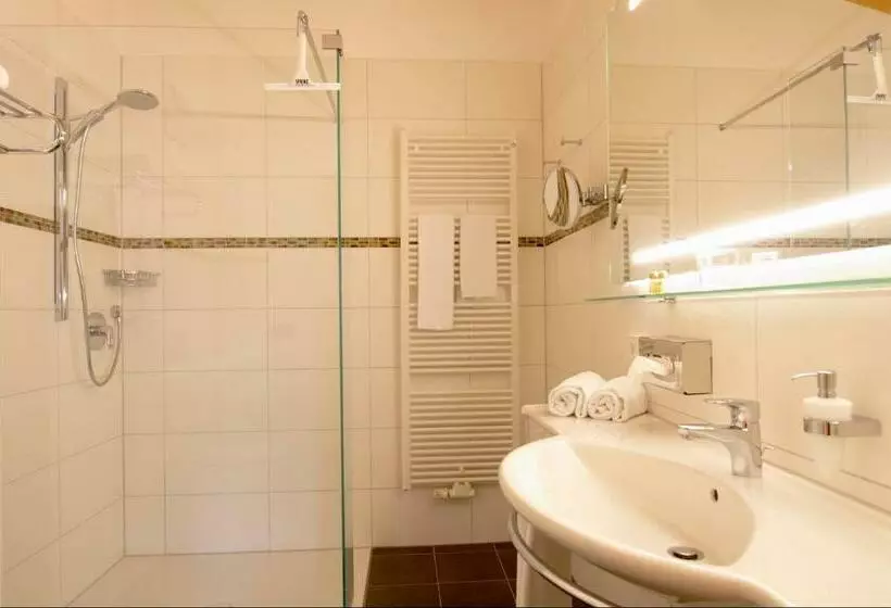 スタンダードルーム, Dohlmühle Hotel & Weingut