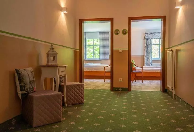 スタンダードルーム, Parkhotel Neustadt Garni