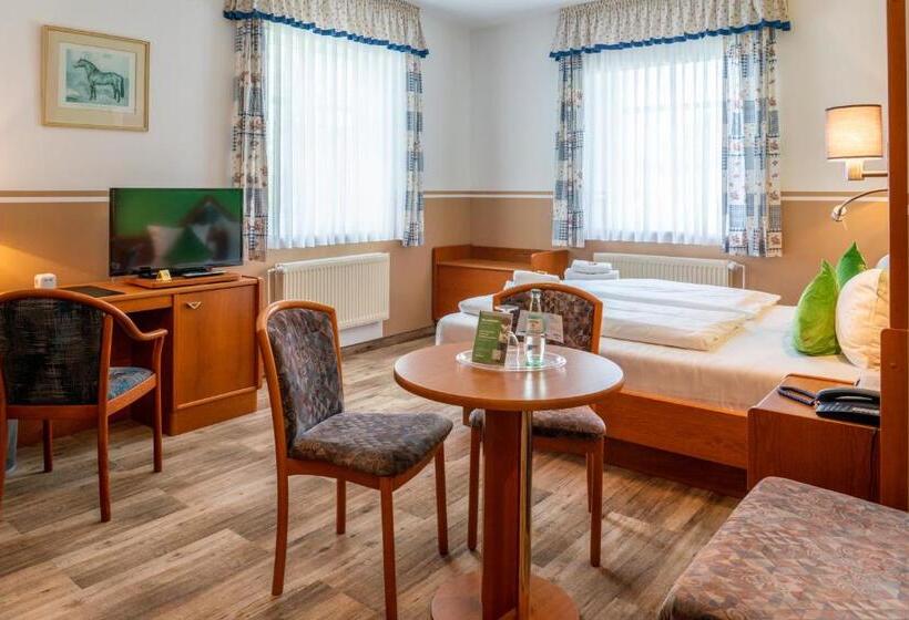 标准间, Parkhotel Neustadt Garni