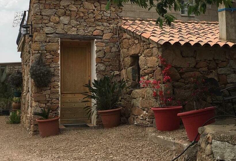 スタンダードルーム, Caseddu Di Chjarastella