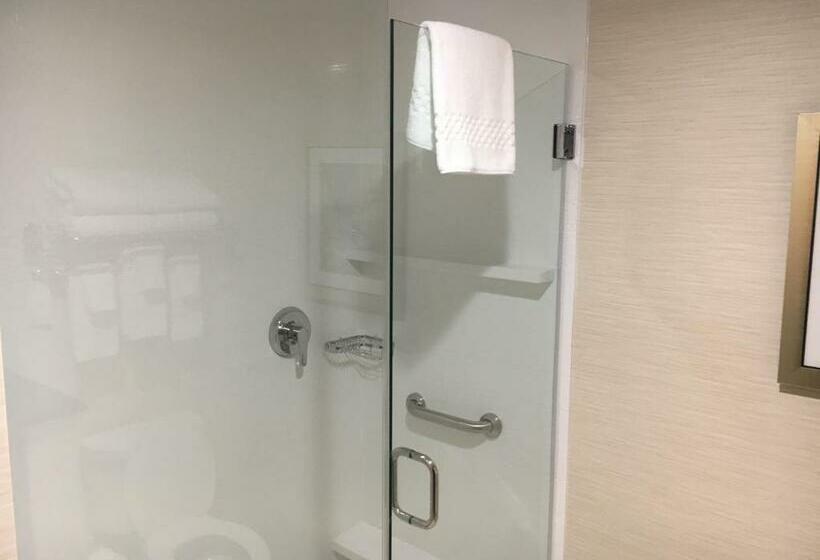 带大床的标准间, Fairfield Inn & Suites By Marriott Detroit Troy