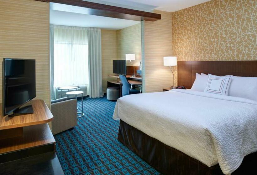 带大床的套房, Fairfield Inn & Suites By Marriott Detroit Troy