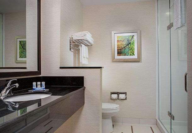 带大床的标准间, Fairfield Inn & Suites By Marriott Detroit Troy
