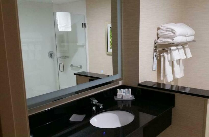 带大床的套房, Fairfield Inn & Suites By Marriott Detroit Troy