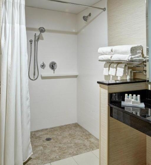 带大床的标准间, Fairfield Inn & Suites By Marriott Detroit Troy