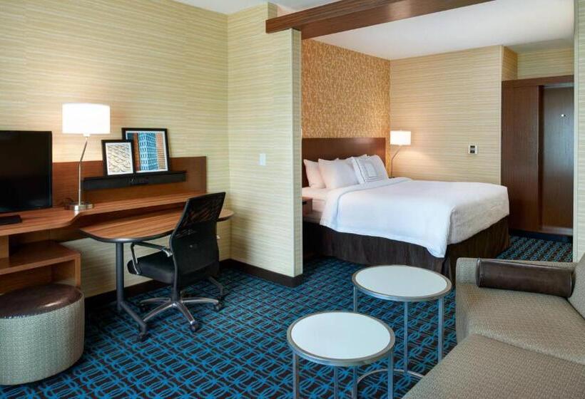 带大床的套房, Fairfield Inn & Suites By Marriott Detroit Troy