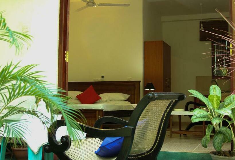 Номер Economy, Navora