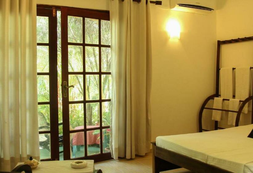 Номер Economy, Navora