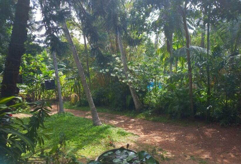 Трехместный Номер Deluxe, Navora