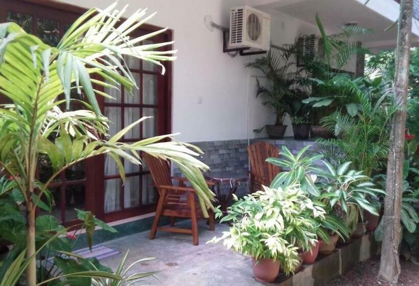 Номер Economy, Navora