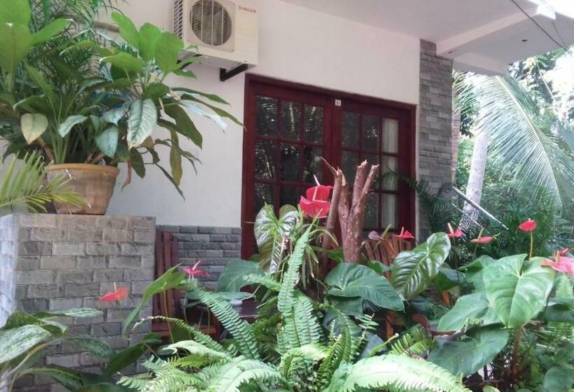 Номер Economy, Navora