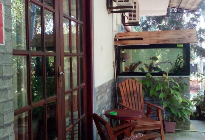 Номер Economy, Navora