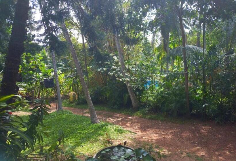 Номер Economy, Navora